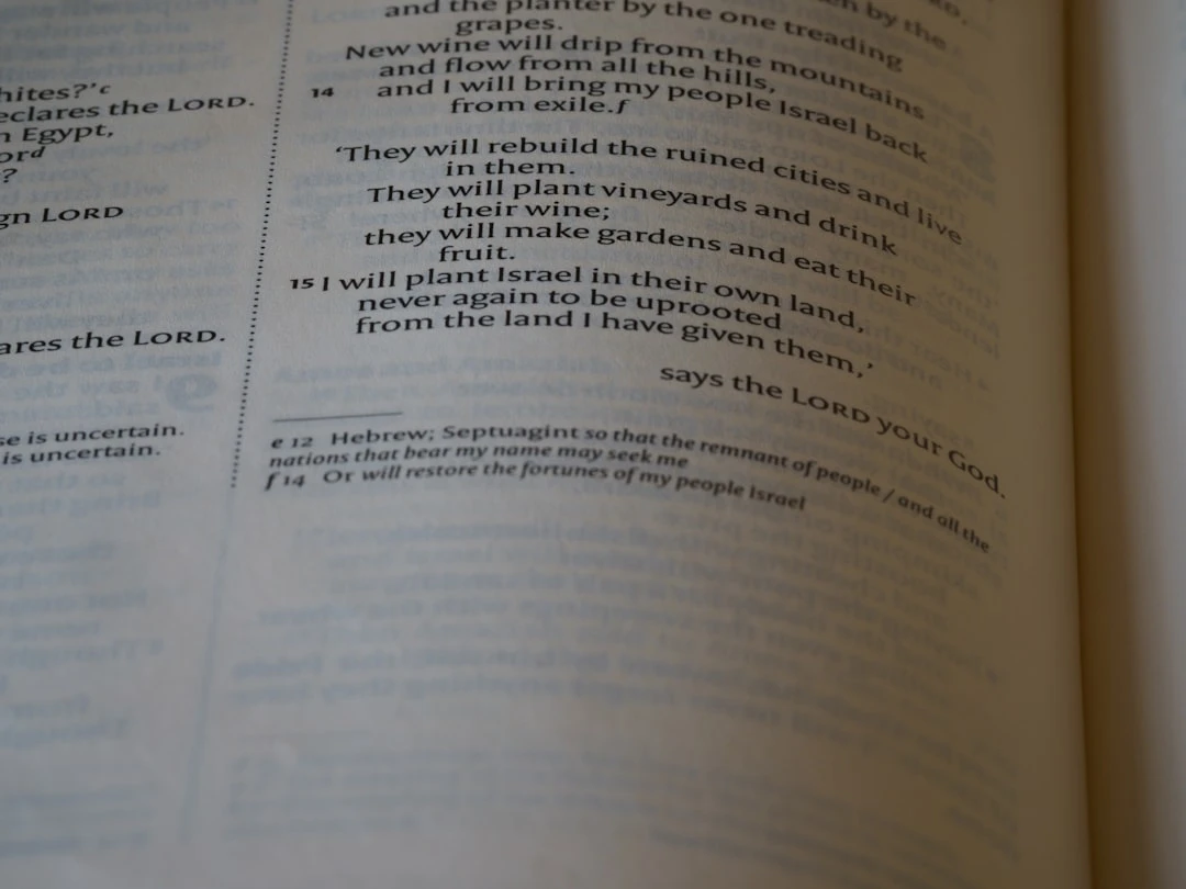 Cấu trúc các phần của bài thi IELTS