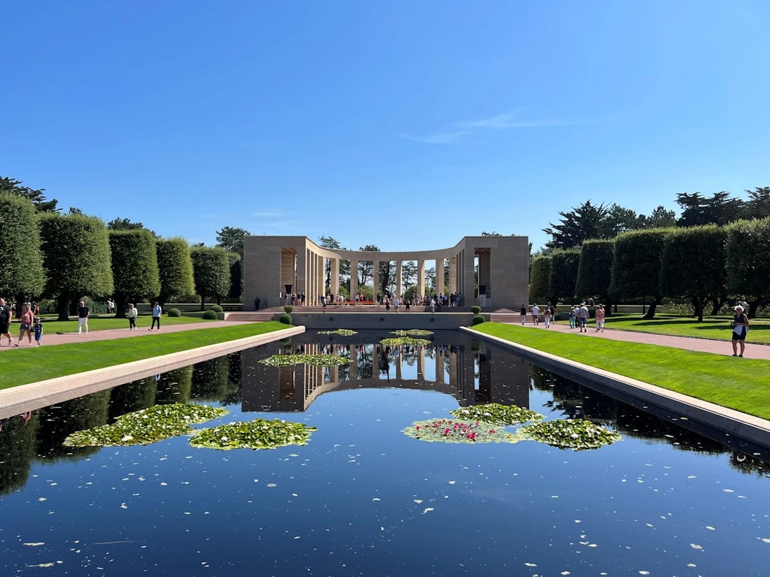 IEF du học Mỹ: Góc nhìn từ cố vấn 10 năm kinh nghiệm