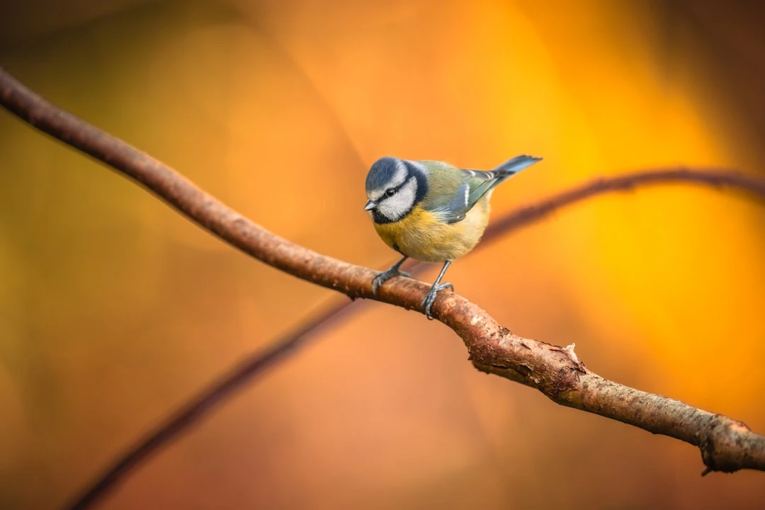 Chuẩn bị du lịch Mỹ tại sân bay Việt Nam.