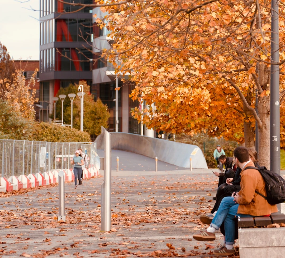 chi-phi-du-hoc-cao-dang-cong-dong-my-goc-nhin-chuyen-gia-10-nam