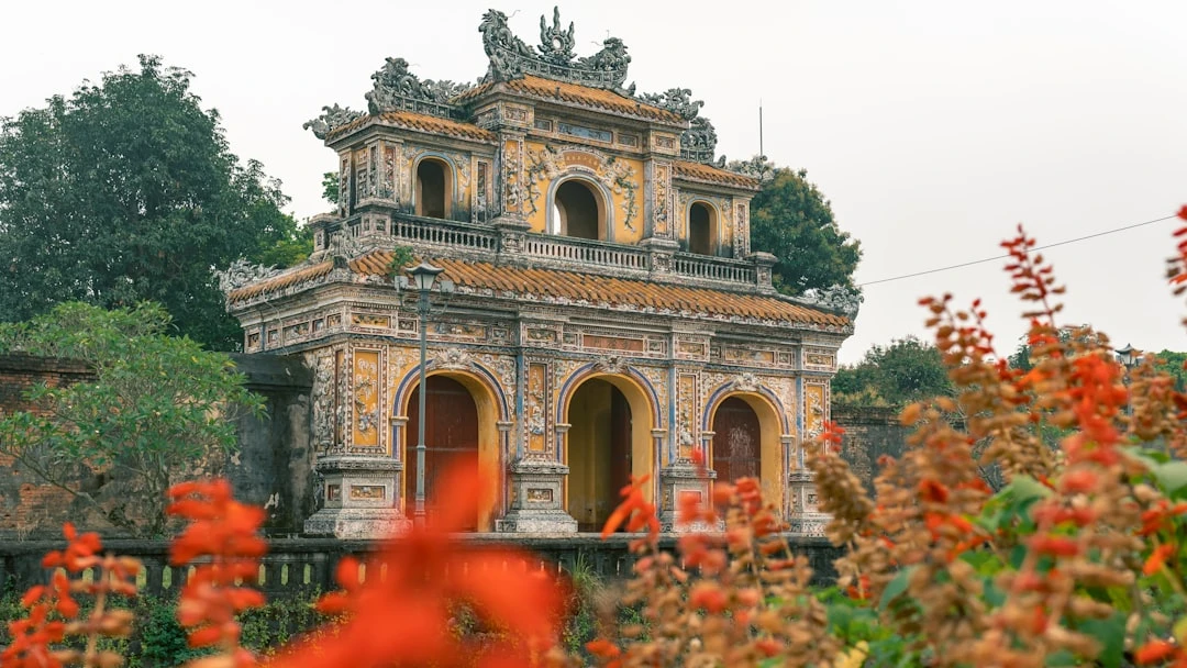 Kim Ji Won du học Mỹ: Góc nhìn từ cố vấn du học