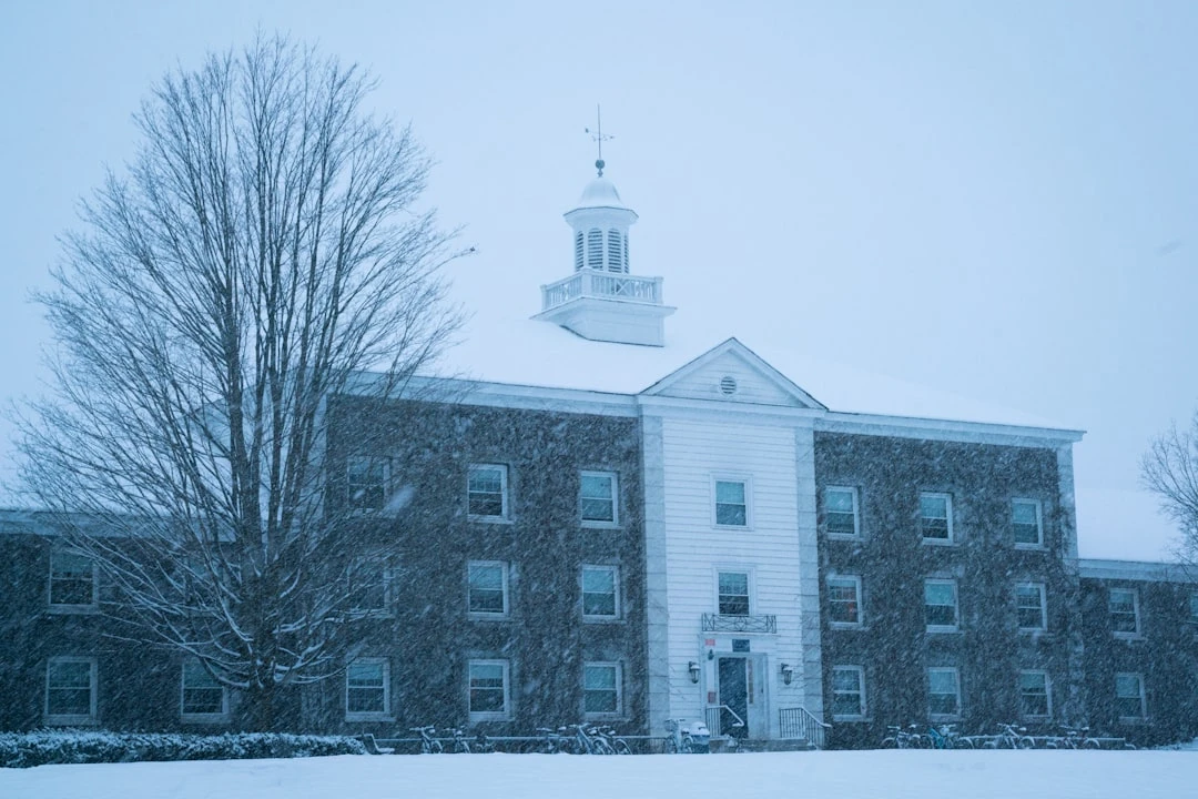 Hệ thống giáo dục cho du học sinh Mỹ