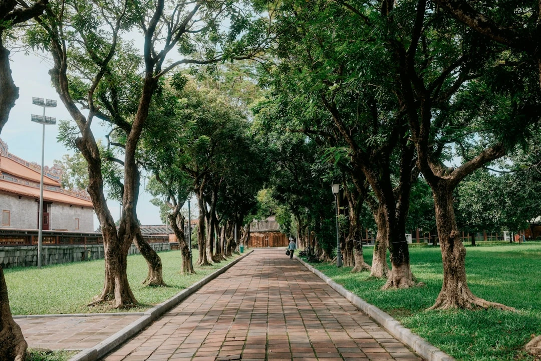 Hình ảnh mùa xuân tại Việt Nam