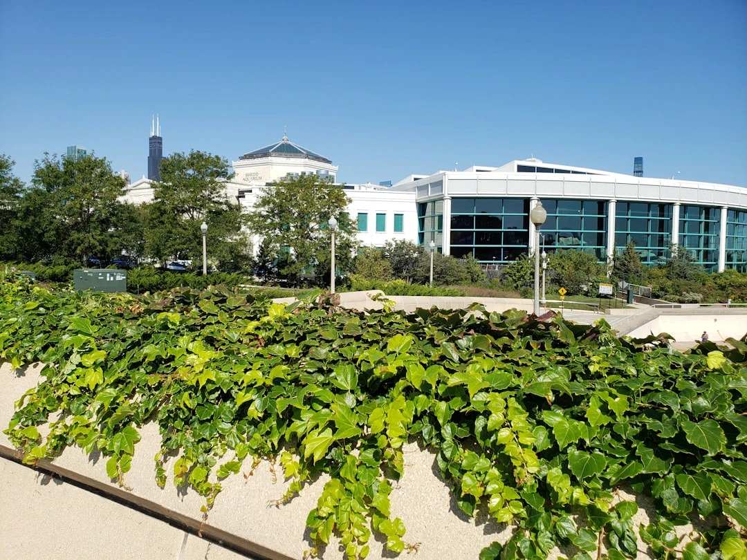 Hình ảnh sinh viên tại khuôn viên trường đại học Mỹ