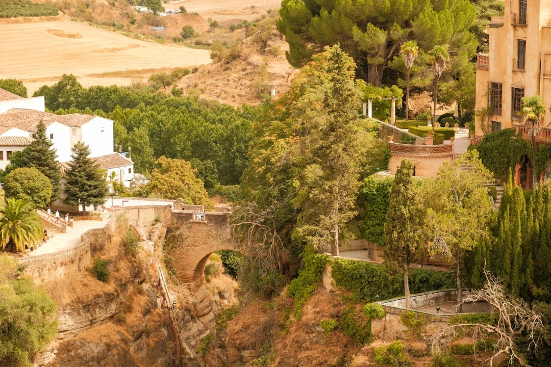 ho-so-du-hoc-tay-ban-nha-tu-goc-nhin-co-van-giao-duc-10-nam-kinh-nghiem