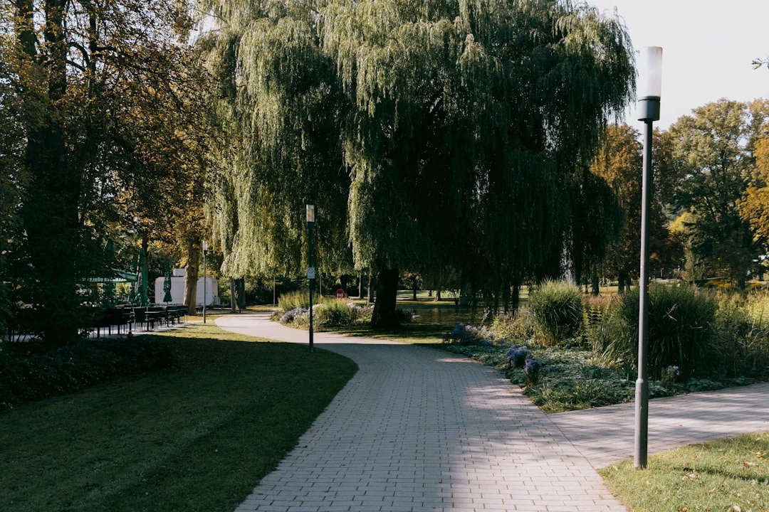 Kinh nghiệm lưu ý visa du học Mỹ hết hạn