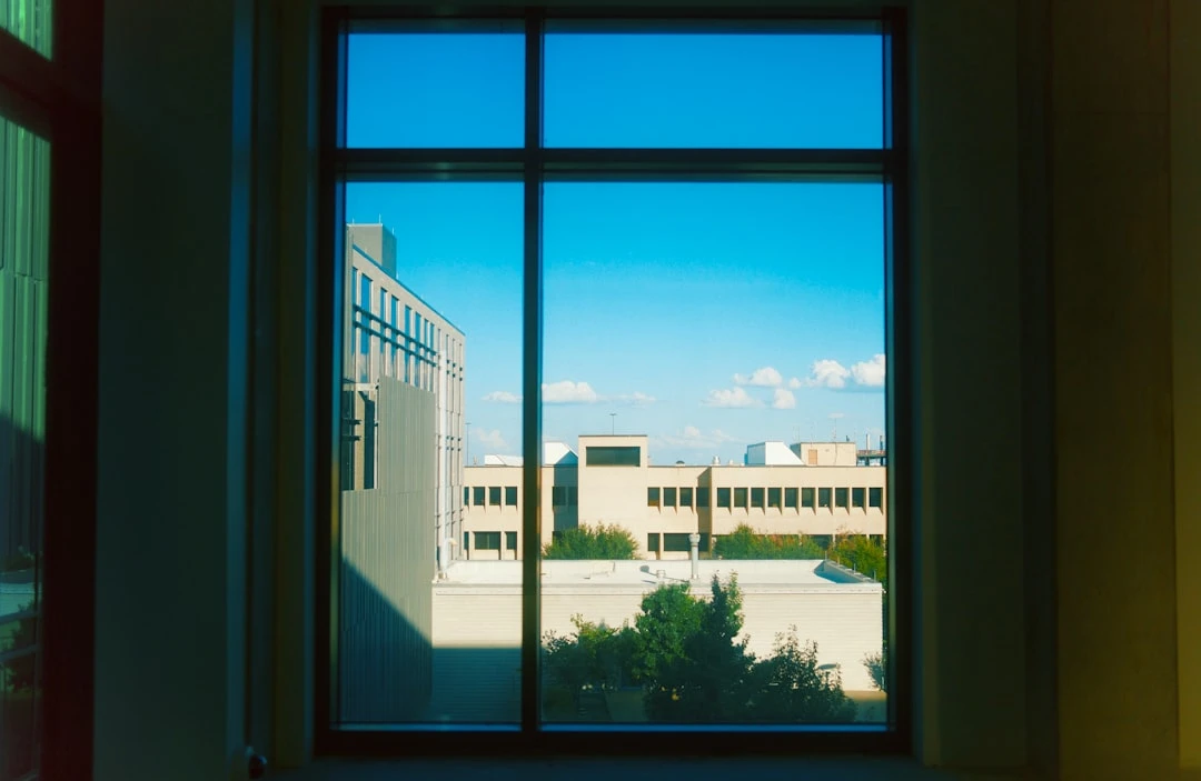 mau-i20-du-hoc-my-tu-goc-nhin-cua-chuyen-gia-tu-van