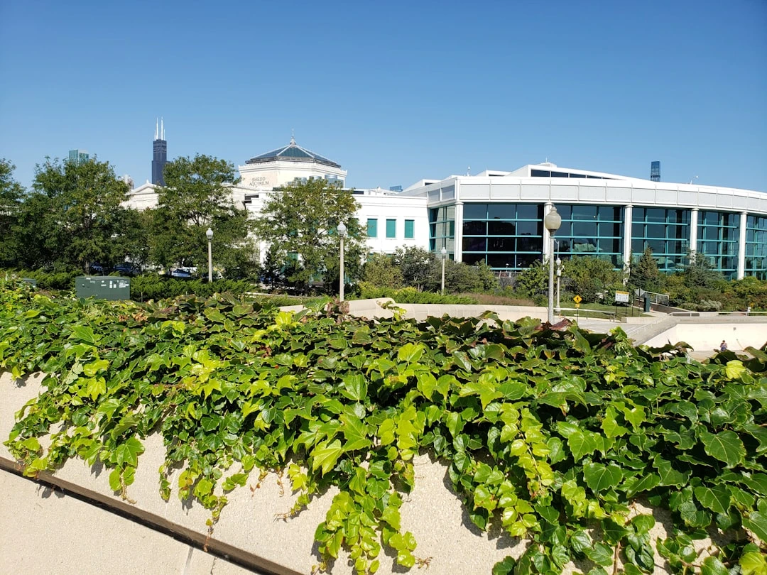 Môi trường học tập đa văn hóa tại một trường đại học Mỹ.