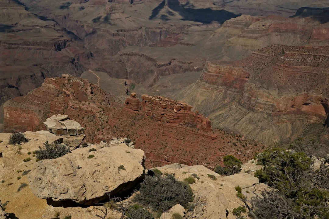 Du học Mỹ có thẻ xanh không? Dưới góc nhìn của chuyên gia