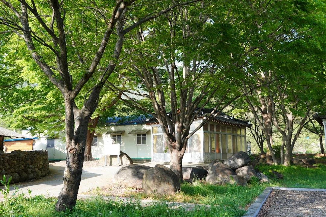 Trường đại học nghệ thuật quốc gia Hàn Quốc