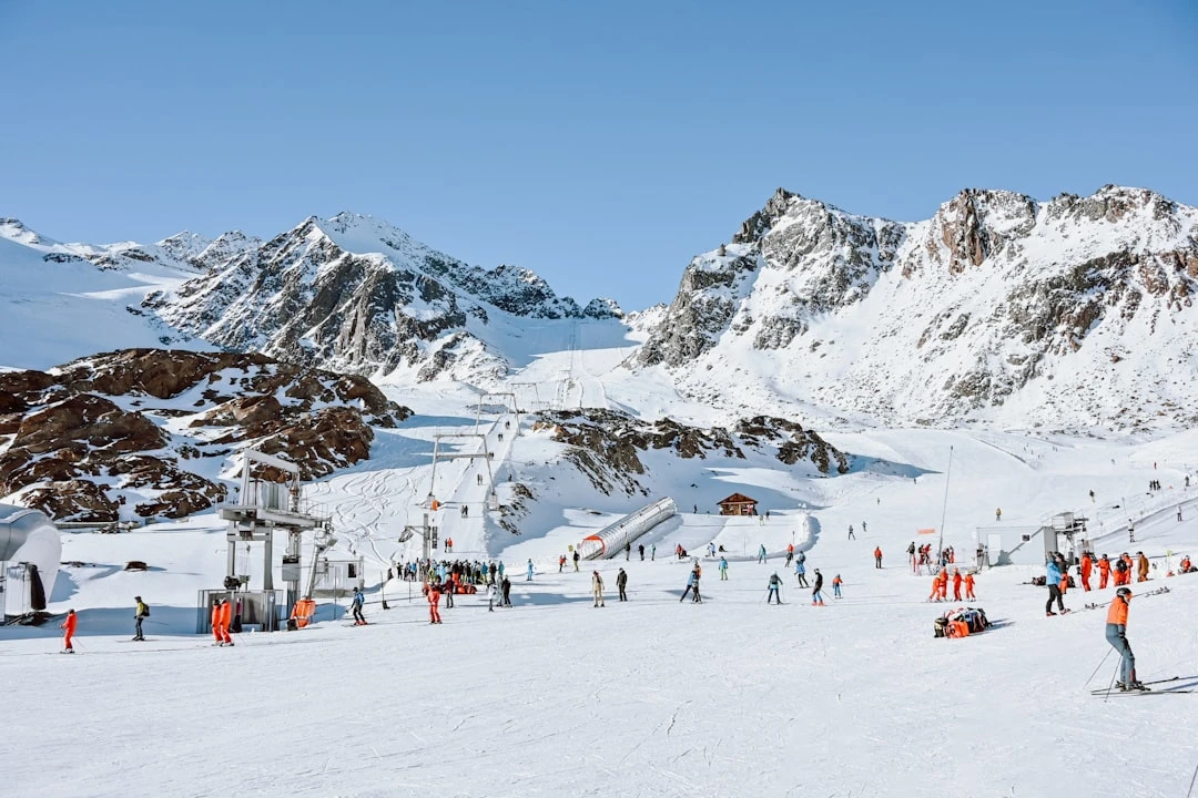 dich-vu-lam-ho-so-du-hoc-my-duoi-goc-nhin-cua-chuyen-gia-10-nam-kinh-nghiem